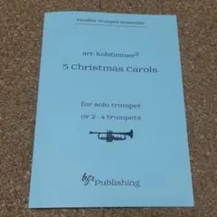 Item thumbnail for item 20844fed-a591-41cf-9294-479f1f60d869