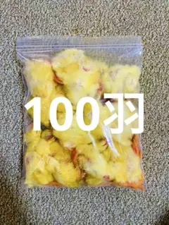 処理済み冷凍うずら（10羽）【送料込】 - メルカリ