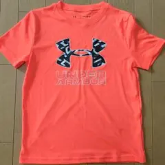 Item thumbnail for item c0028c4f-6018-48e9-aff1-67b9ddfec505