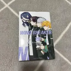 WIND BREAKER 19 にいさとる