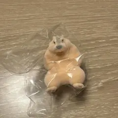 Kento Shinozuka様 リクエスト 2点 まとめ商品