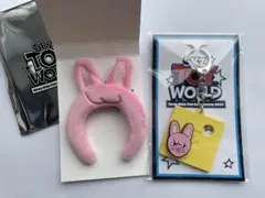 Stray Kids チャンビン まとめ売り