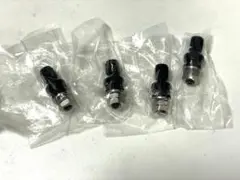レイズ新品エアバルブのサムネイル