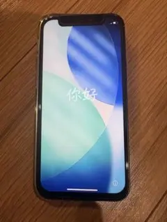 Apple iPhone 12mini 256GB ジャンク　本体のみ