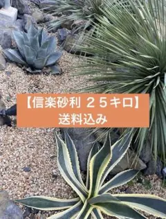 【信楽砂利】ドライガーデン 砂利 25kgのサムネイル