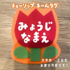 フルーツ☆フェルト/名札/実習/ネームタグ/オーダーメイド 幼稚園 保育