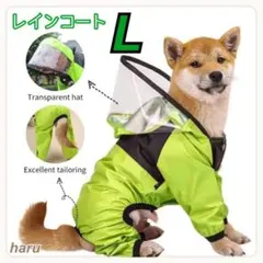 Item thumbnail for item bdd32590-e1d0-4331-a6a8-9a470ab12bd3