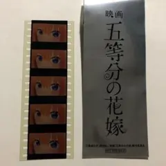五等分の花嫁 劇場版 入場者特典 生コマ フィルム 四葉アップ