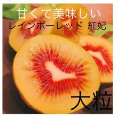 3箱分　yuyou様専用