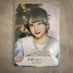 夢咲はゆ 写真集3冊セット(新條由芽)【コスプレイヤー・グラビア