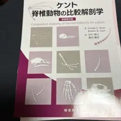 Item thumbnail for item 9cfcf72e-36d9-40d9-af92-a0f2724c025d