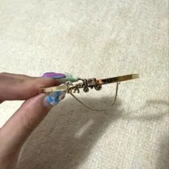 COACH ブレスレット