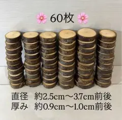 桜　丸太　切り株　輪切り　60枚