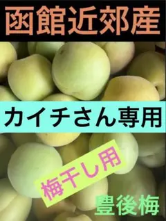 カイチさん専用‼️豊後梅21キロサイズ2L - メルカリ
