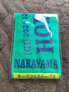 Item thumbnail for item da58dafd-2cca-47de-a921-199666d70d90