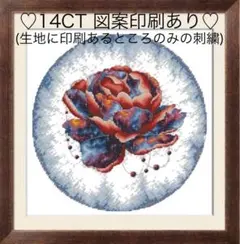クロスステッチキット　輝く薔薇(14CT、小さめサイズ、図案印刷あり)