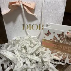 DIOR 蝶デザイン ショッパー