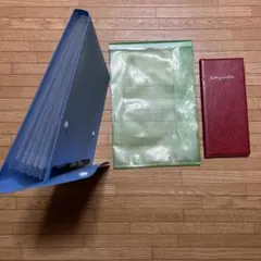 Item thumbnail for item 0208f44a-a4d2-48f7-917c-94d3cae0a94f