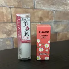 リップまとめ売りのサムネイル