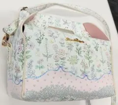 Item thumbnail for item 8f00edf1-e3d8-4094-aa00-48f15693a58c