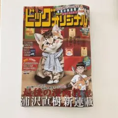 ビッグコミックオリジナル増刊9月号