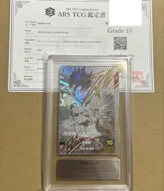 ARS10 9ポケットバインダーセット 40th 孫悟飯 少年期