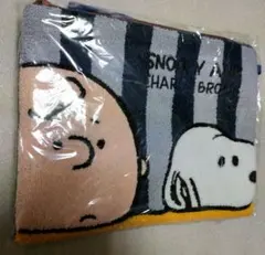 スヌーピー　SNOOPY　ショルダーバッグ　さがら織り　タグ付き未開封新品