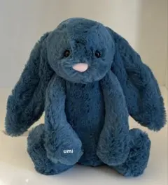 ジェリーキャット Bláthnaid Bunny アイルランド限定 ぬいぐるみ