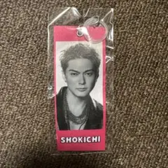 EXILE THE REASON カプセル SHOKICHI めじるしタグ