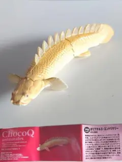 미사용 海洋堂 チョコQ 日本の動物 第5弾 ポリプテルス・エンドリケリー白