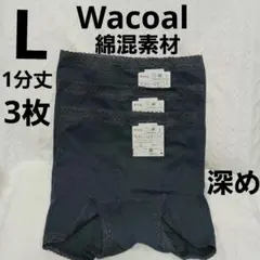 Item thumbnail for item 38ca5b44-e1e9-4365-9760-58f37741e502