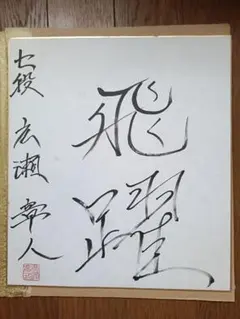 読売ジャイアンツ 藤井健翔 直筆サイン色紙 目標入り 巨人軍 浦和学院