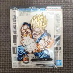 一番くじ ドラゴンボール F賞 ACLLECT