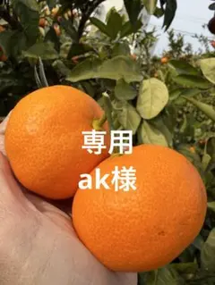専用 ak様