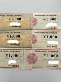 ビックカメラ　コジマ　株主優待　6000円分のサムネイル