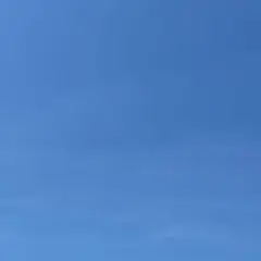 ai様