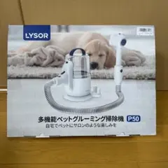 Item thumbnail for item 9540d31b-c777-4b2b-ae5c-191f1510690b