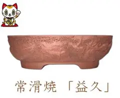 2025年最新】盆栽鉢 常滑の人気アイテム - メルカリ