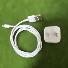 Apple 純正　アダプタ Lightningケーブルセット