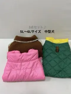 Item thumbnail for item d84d0b75-3181-4173-816b-1c4c96efe560