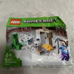 レゴ 662206 マインクラフト アレックスとスケルトンホース - メルカリ