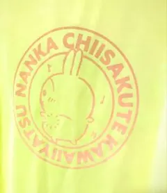 Item thumbnail for item 43bd9953-b8b8-4c6c-8148-a868dd95240f