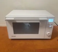 Item thumbnail for item a08864d7-c2ff-4a82-a20a-a730a5cadae1