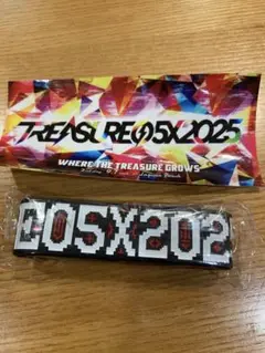 WHERE THE TREASURE GROWS ラバーバンド　ステッカー付き