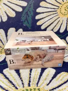 く*ま様 一番くじ　爬虫類&両生類　ヒョウモントカゲモドキ　脱皮中のサムネイル