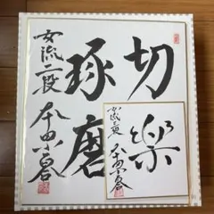 Item thumbnail for item 3e8b79f3-8f09-4cd7-9772-aff0687dd236