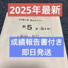 2026年最新】sapix 入室テストの人気アイテム - メルカリ