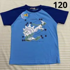 ㊸120、新品☆ポケモン、白いジガルデ ☆半袖Tシャツ、ラグラン袖