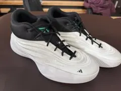 31cm バスケットボール