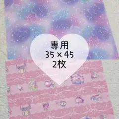 【専用】ランチョンマット 35×45 2枚セット　給食用 女の子用